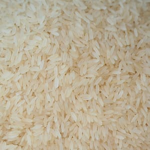 Rice 2 scaled