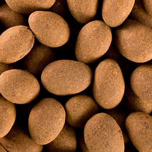 coated nuts